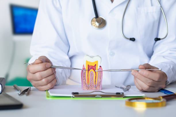 Best Pediatric Emergency Dentist in Carson, WA